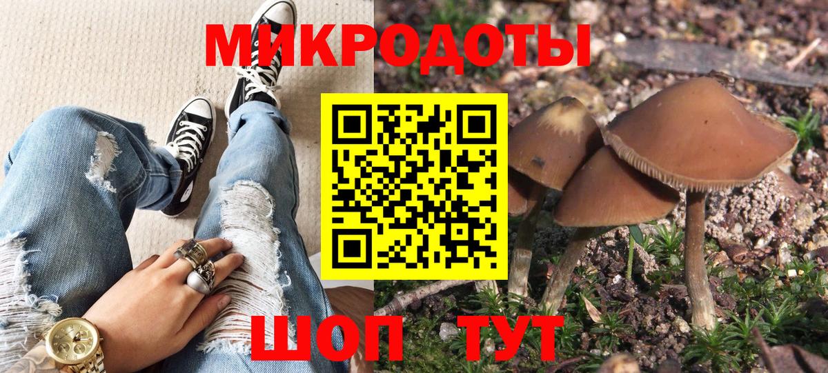 Владикавказ  Псилоцибиновые грибы Magic Shrooms  Вход с VPN 