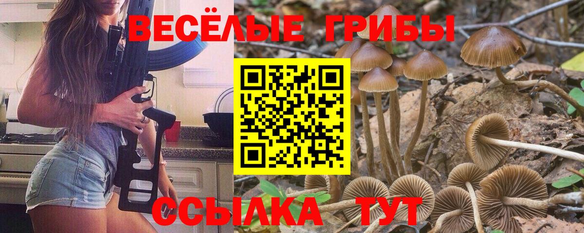 Галлюциногенные грибы прущие грибы Владикавказ